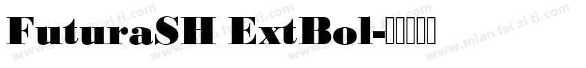FuturaSH ExtBol字体转换